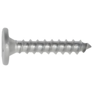 Phillips Pancake Head, Sharp Point Screws, Corrosion Resistance, 10 X 1